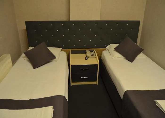 Quars Palmiye * Sarigazi