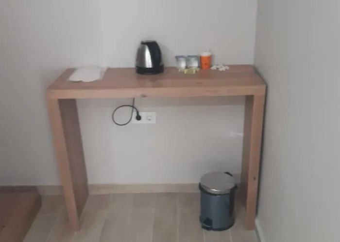 Quars Palmiye * Sarigazi